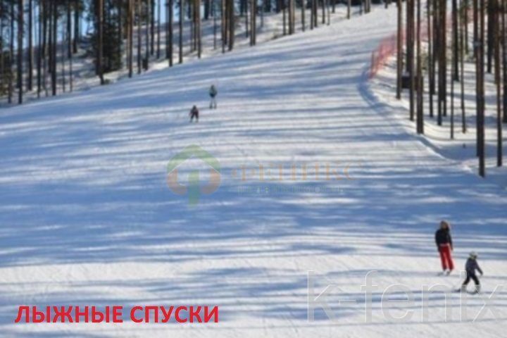 дом 60 метров, участок 12 сот